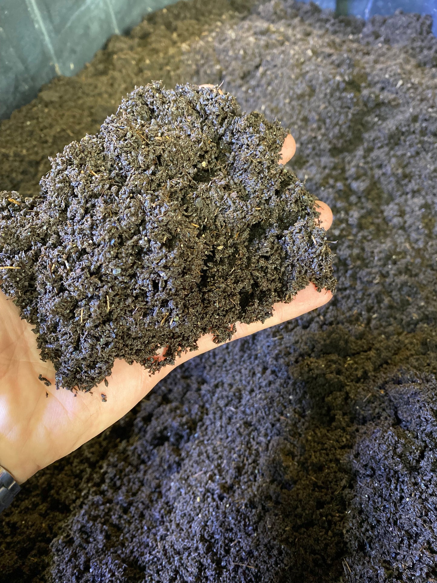 Pure Worm Castings
