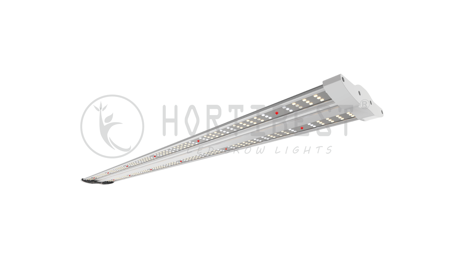 Hortibest Stingray Series 40w LED 10 pack.