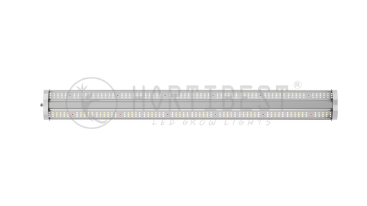 Hortibest Stingray Series 40w LED  10 pack.